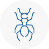 Ant Removals In Leyburn