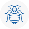 Bed Bug Extermination In Leyburn