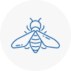 Bee Nest Removal Leyburn