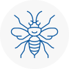 Leyburn Hornet Nest Removals