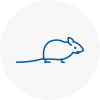 Mice Exterminators In Leyburn