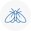 Moth Control Specialists In Leyburn