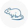 Rat Control Leyburn