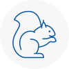 Leyburn Rodent Removals