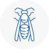 Leyburn Wasp Nest Removal